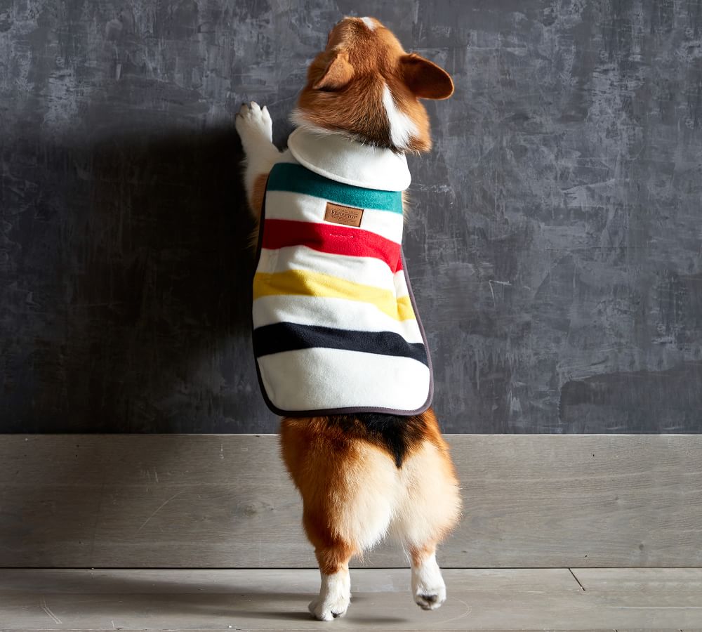pendleton wool dog coat