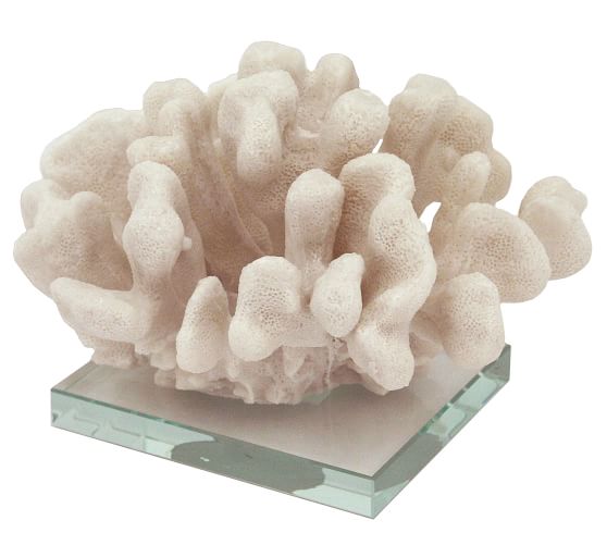 Williams-Sonoma Home White Coral on Glass Stand Set of 3