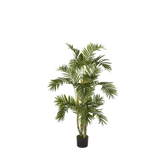 Faux Narrow Areca Palm Tree Pottery Barn