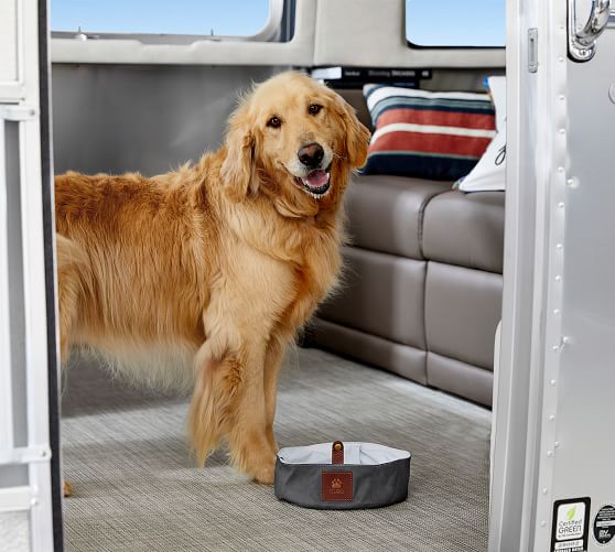 pottery barn dog bowls