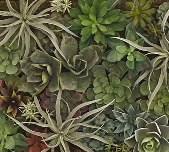 Faux Succulent Wall Art Pottery Barn