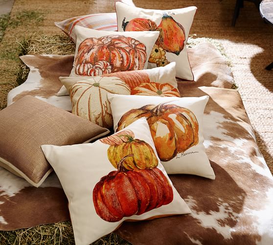 Pottery Barn Painted Pumpkin Pillow Cover Multi 20" #71 