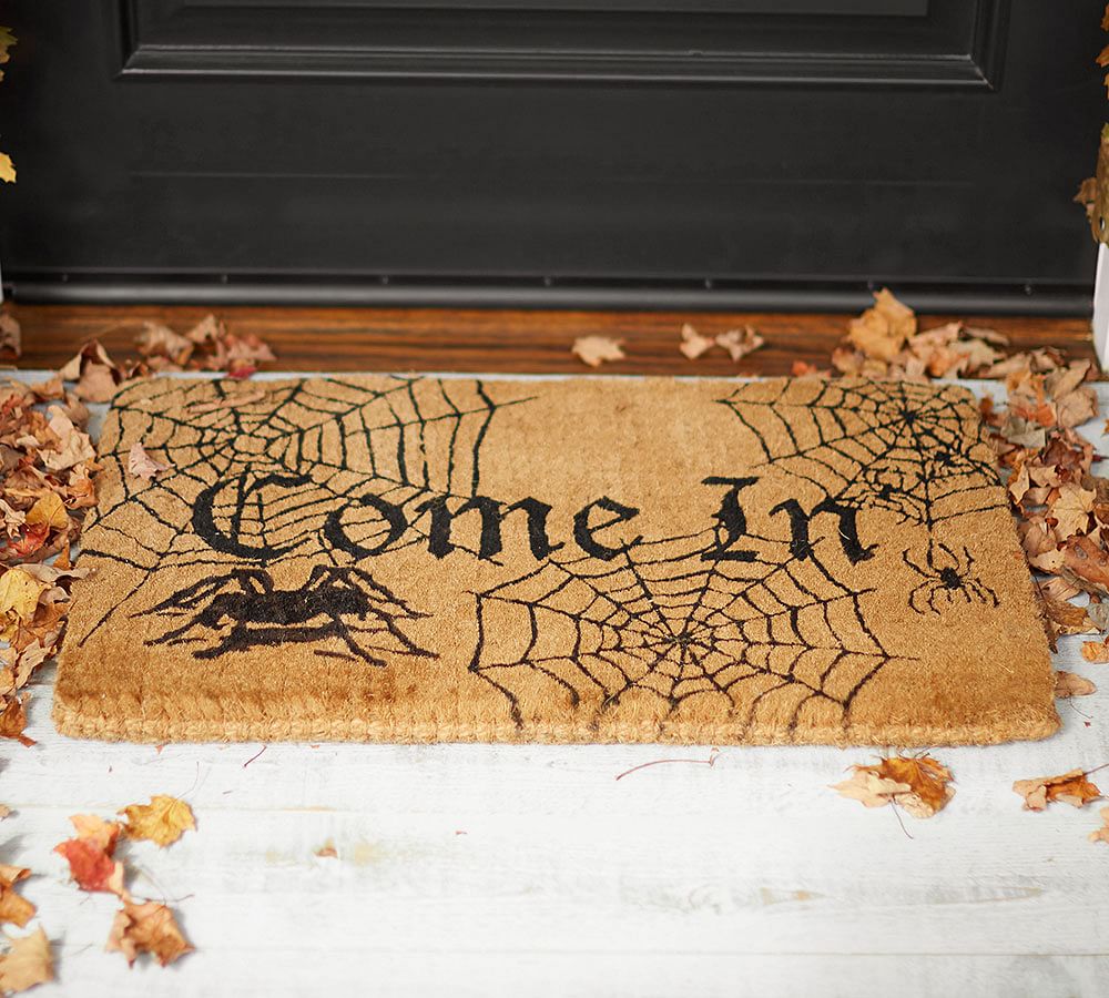 Come In Doormat Pottery Barn