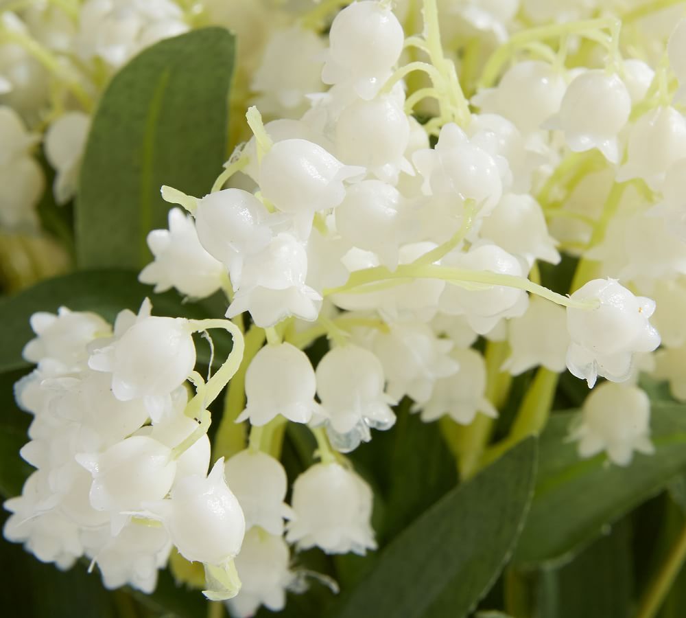 Faux Lily of the Valley in Pot Artificial Flowers Pottery Barn