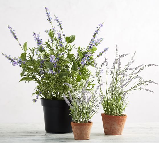Details about   3-Pc Modern Faux Lavender Flower Plants in Square White Textured Ceramic Pots 