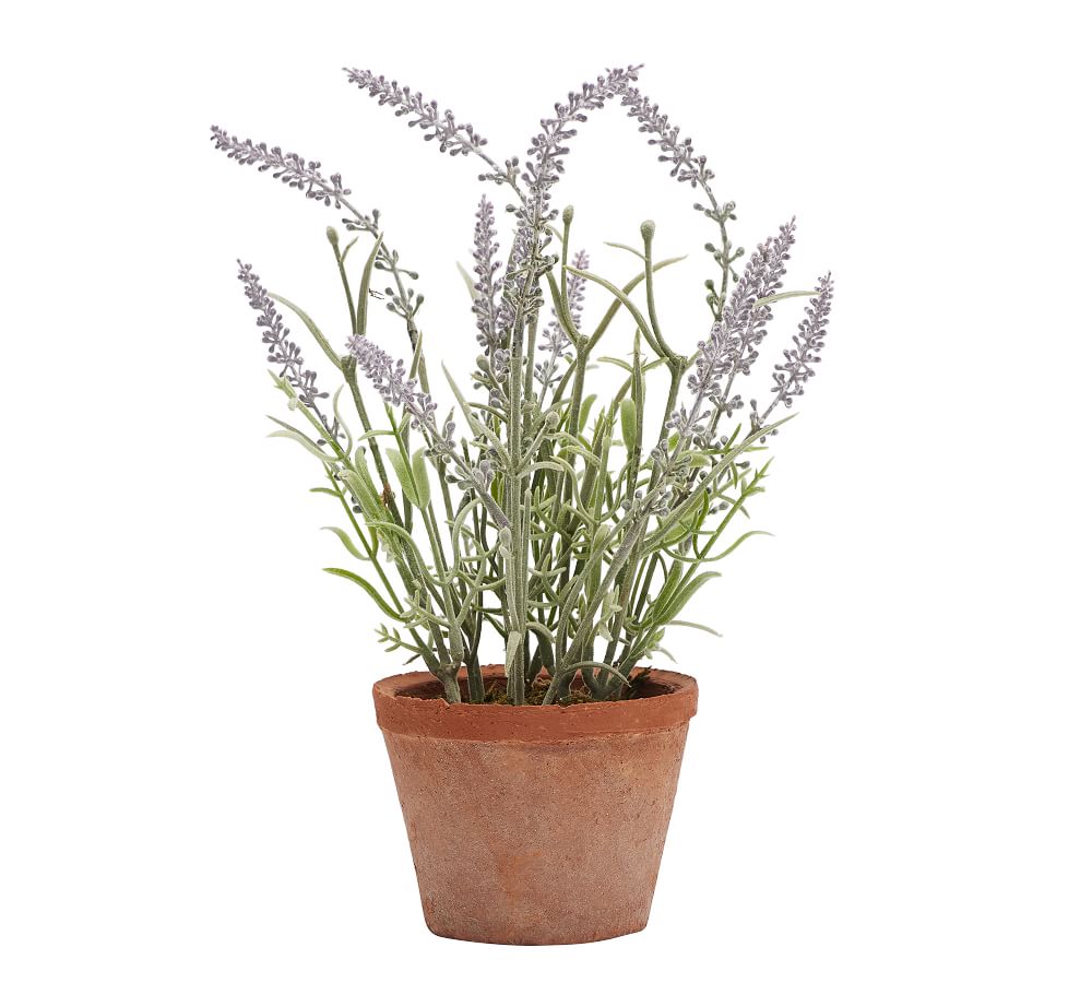 Faux Potted Lavender In Terracotta Pot 