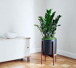 Modern White Ceramic Indoor Planters with Wooden Stand | Pottery Barn