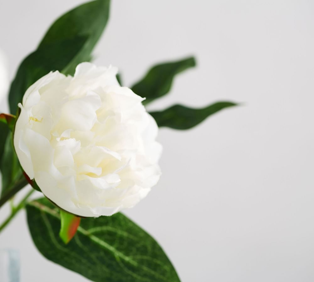 Faux Peony Bundle Artificial Flowers Pottery Barn