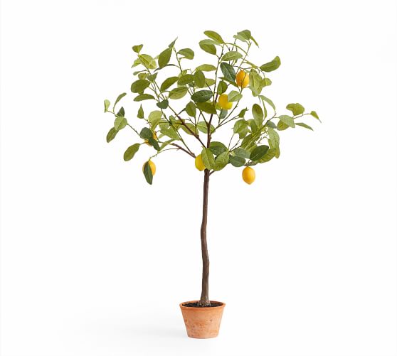 Details about   Artificial Realistic Lemon Tree Potted Plant Lemon Bonsai Home Garden Decoration 