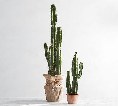 Faux Potted Saguaro Cactus | Pottery Barn