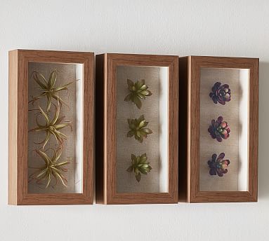 Decorative Wooden Keepsake Frame for Girls Ideal Plant Decorations for Bedroom Unique Cactus Wall Decor for Home & Kitchen Cactus Gifts 6x6x2 Memorabilia Shadow Box for Cactus Lovers