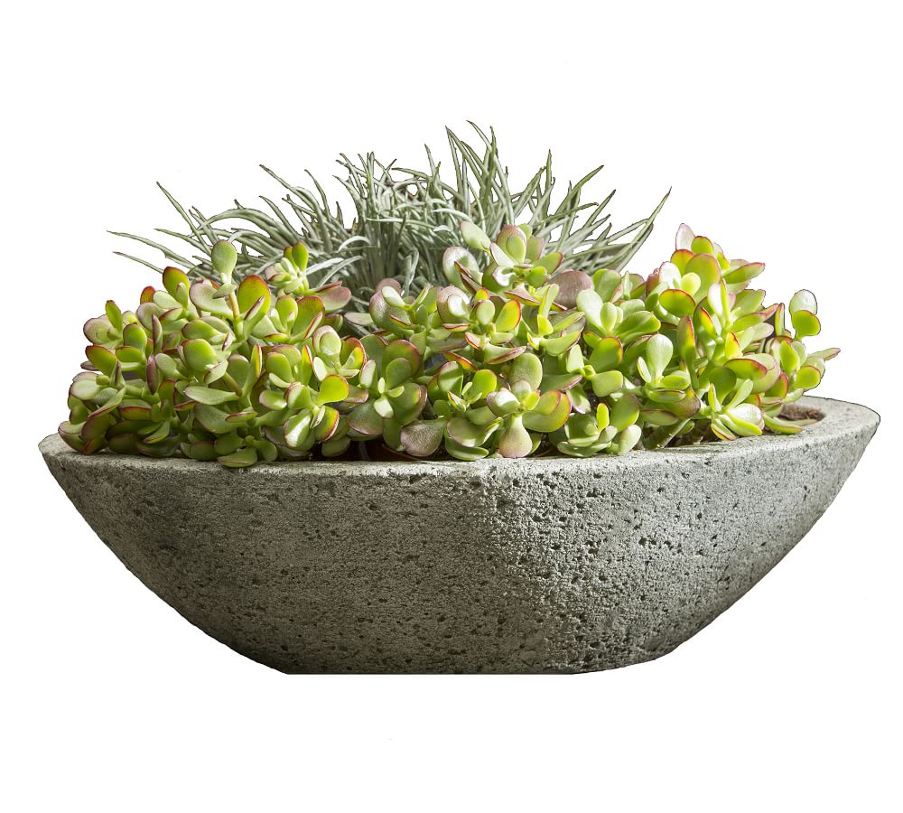 Amelie Planter | Pottery Barn