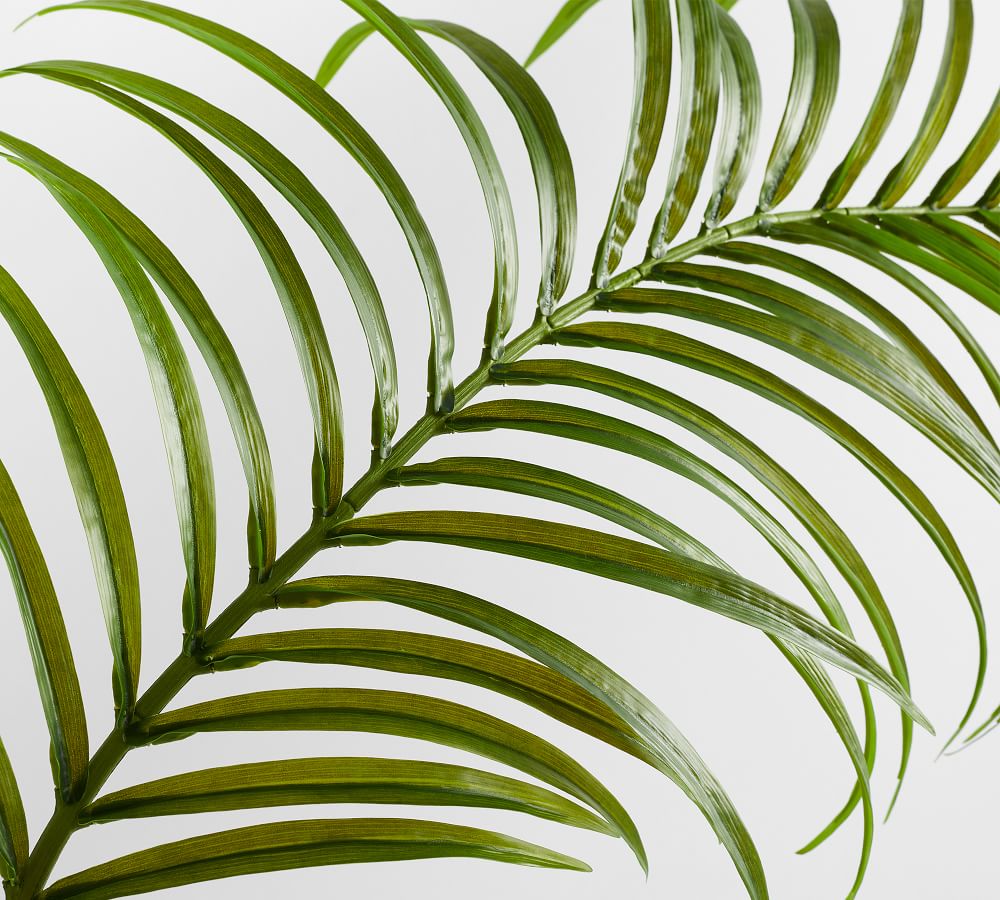 Faux Oversized Palm Leaf Branches | Pottery Barn