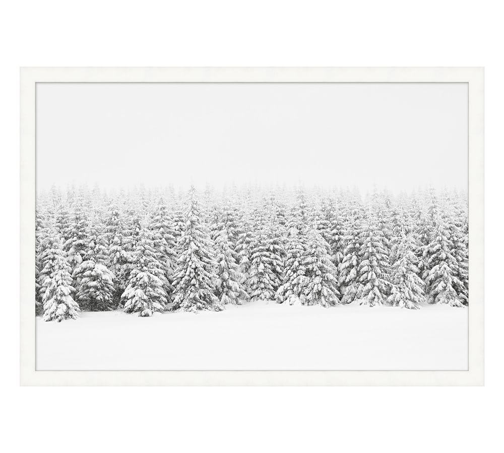 Snow Blanket Pines Framed Print | Pottery Barn