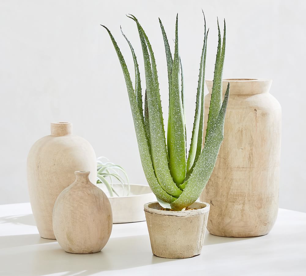 Faux Potted Speckled Aloe Vera Plant In Terracotta Pot Pottery Barn