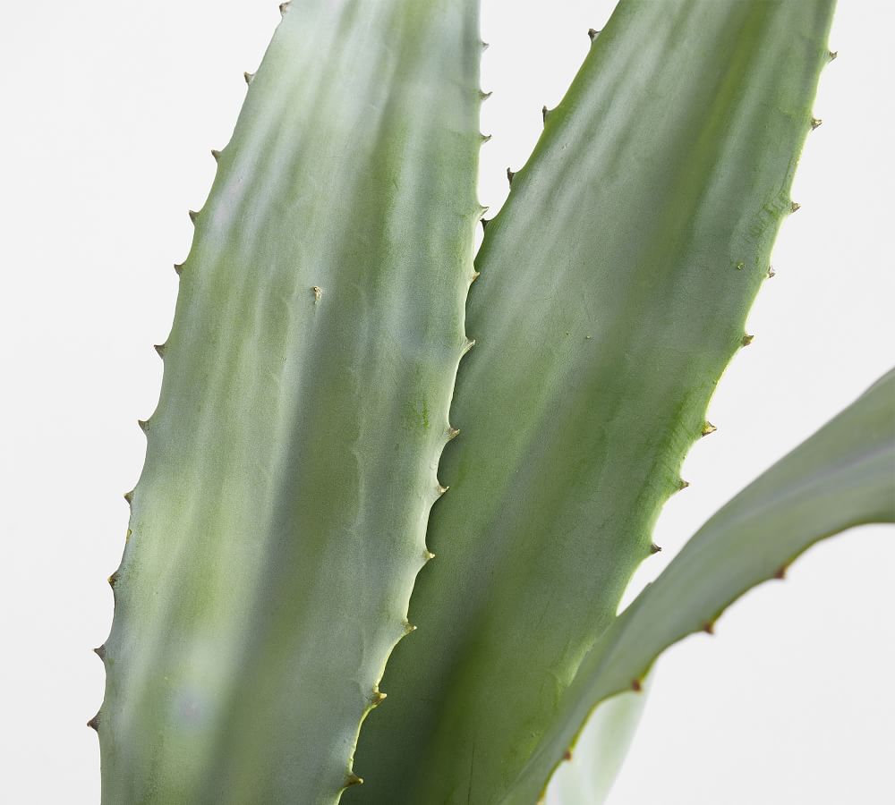 Faux Aloe Leaf Pottery Barn