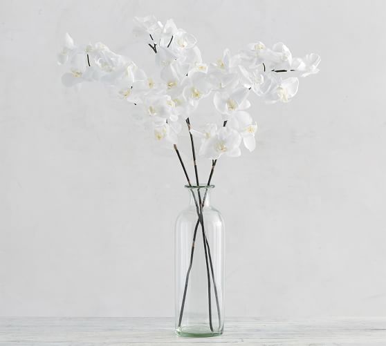 Faux Phalaenopsis Orchid Stem White Pottery Barn
