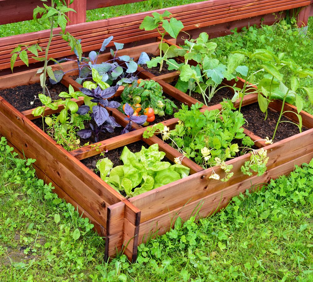 Wooden Garden Bed Pottery Barn