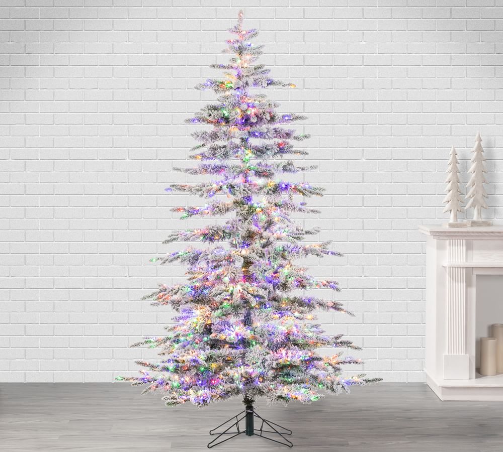 PreLit Flocked Mountain Pine Artificial Christmas Trees Pottery Barn