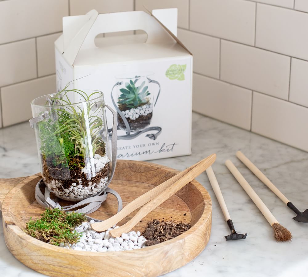 DIY Hanging Terrarium Kit Pottery Barn