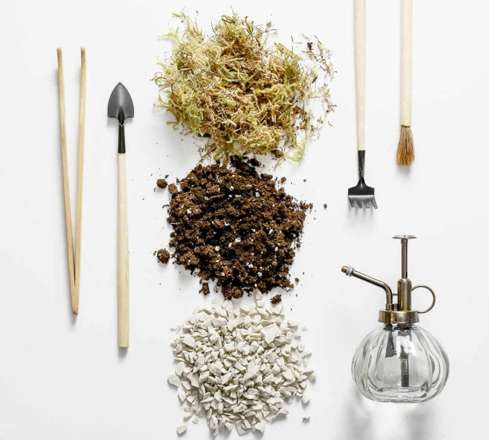 DIY Hanging Terrarium Kit Pottery Barn