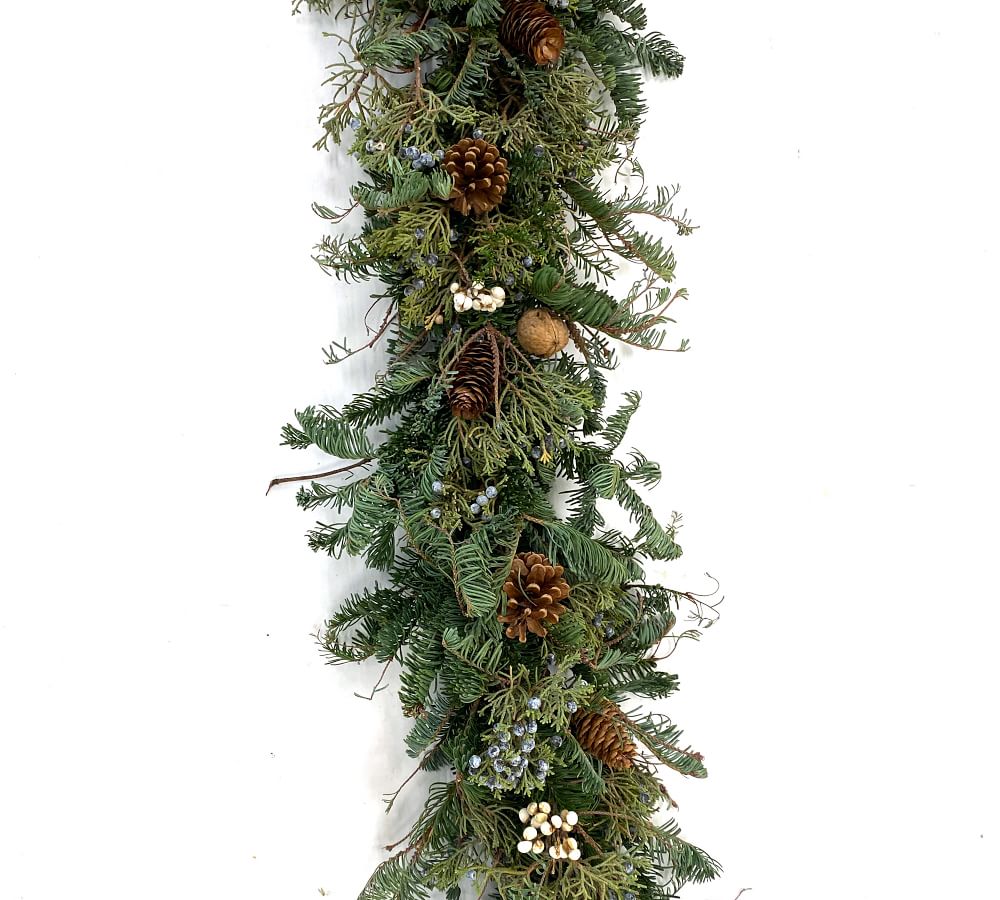 Fresh Juniper, Pinecone & Tallow Berry Garland 6' Pottery Barn