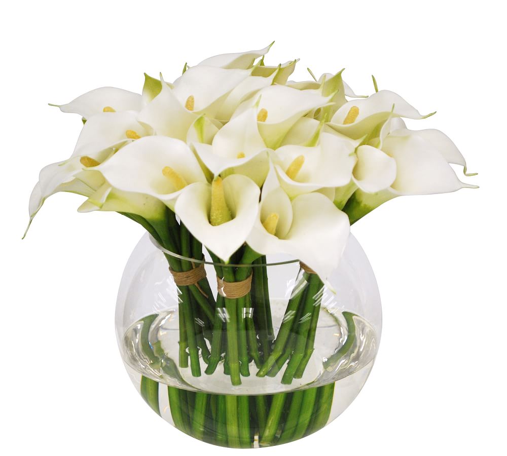Faux Calla Lily Composed Arrangement Pottery Barn