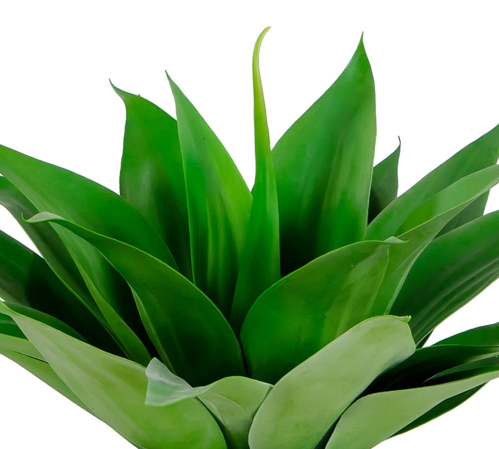 Faux Potted Aloe Plant Pottery Barn