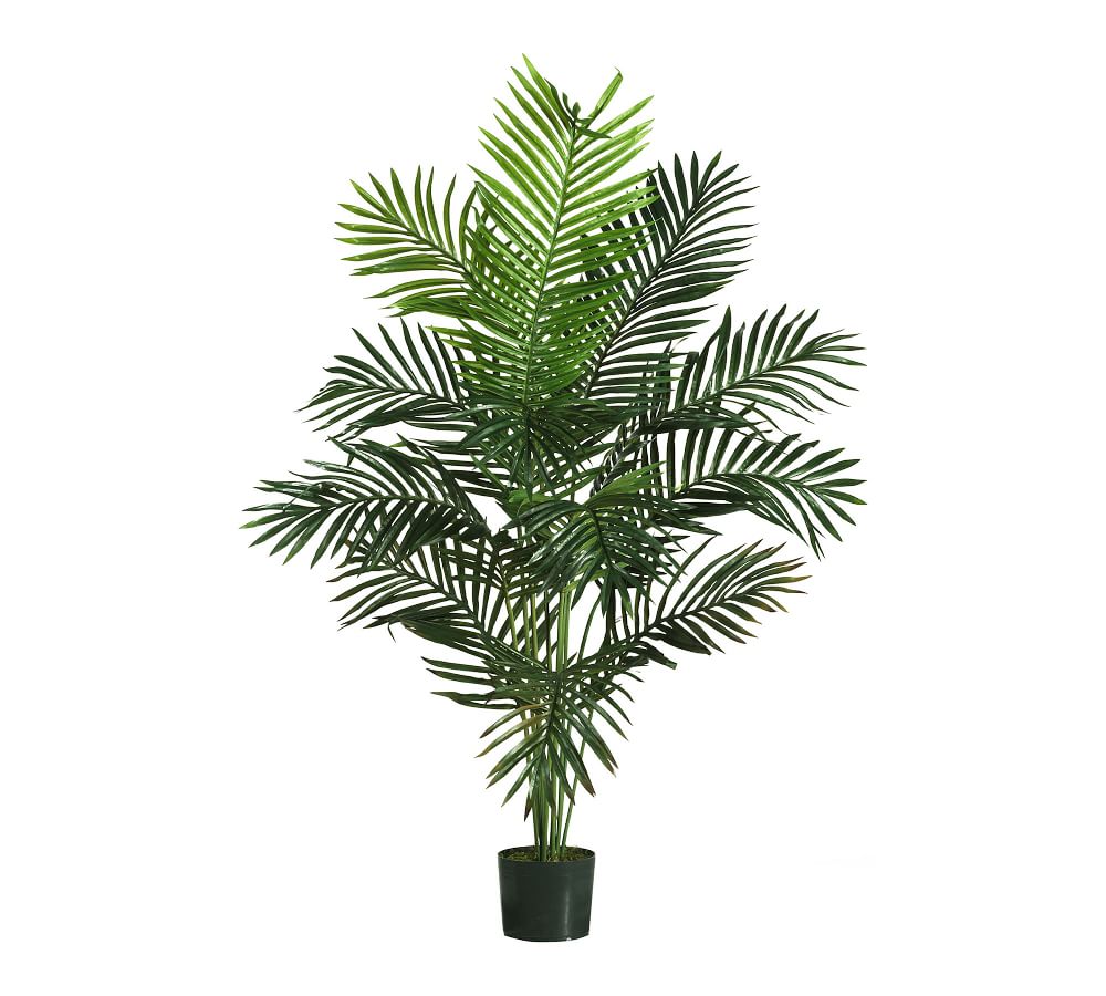 Faux Paradise Palm | Pottery Barn