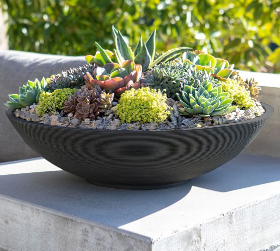 pottery planter bowls