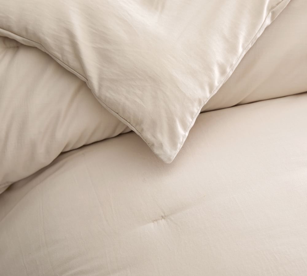 Dream Brushed Cotton Comforter Pottery Barn