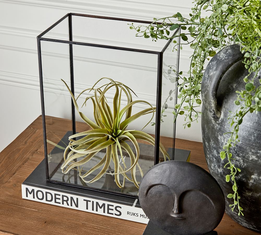 Glass Cloche Cube Pottery Barn