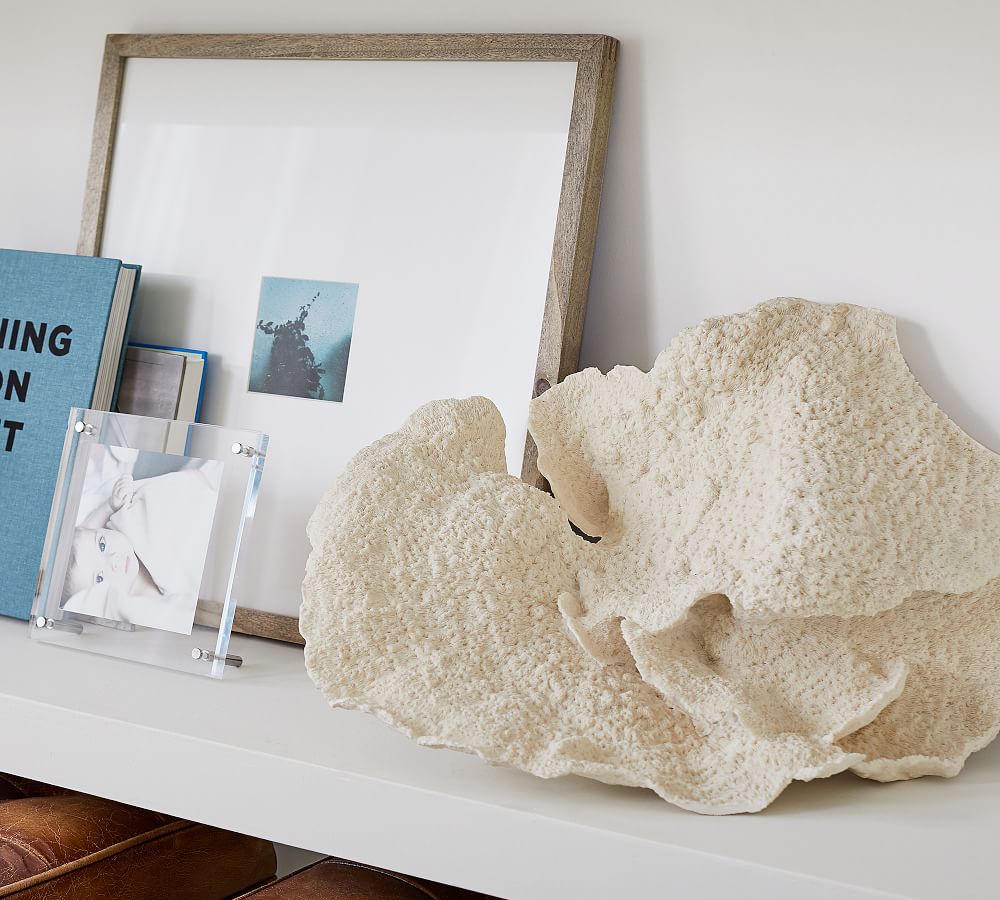 Extra Large Broad Wave Coral Pottery Barn