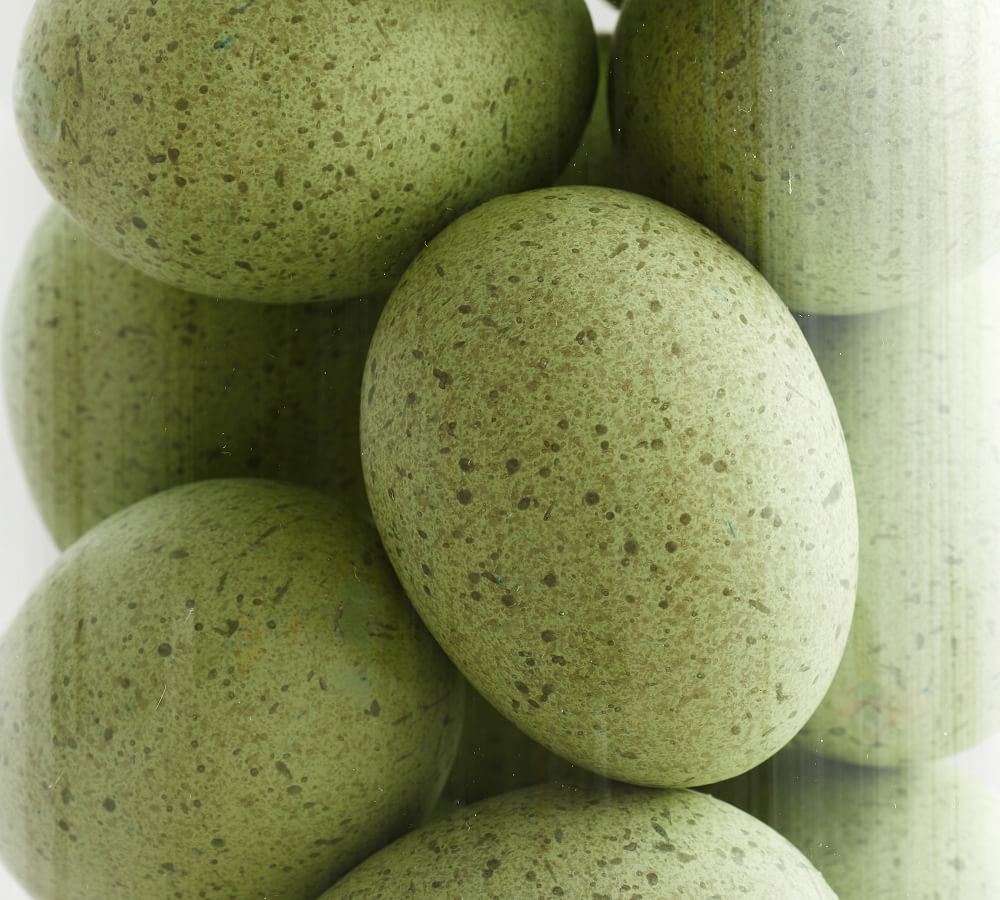 Speckled Egg Vase Filler Pottery Barn