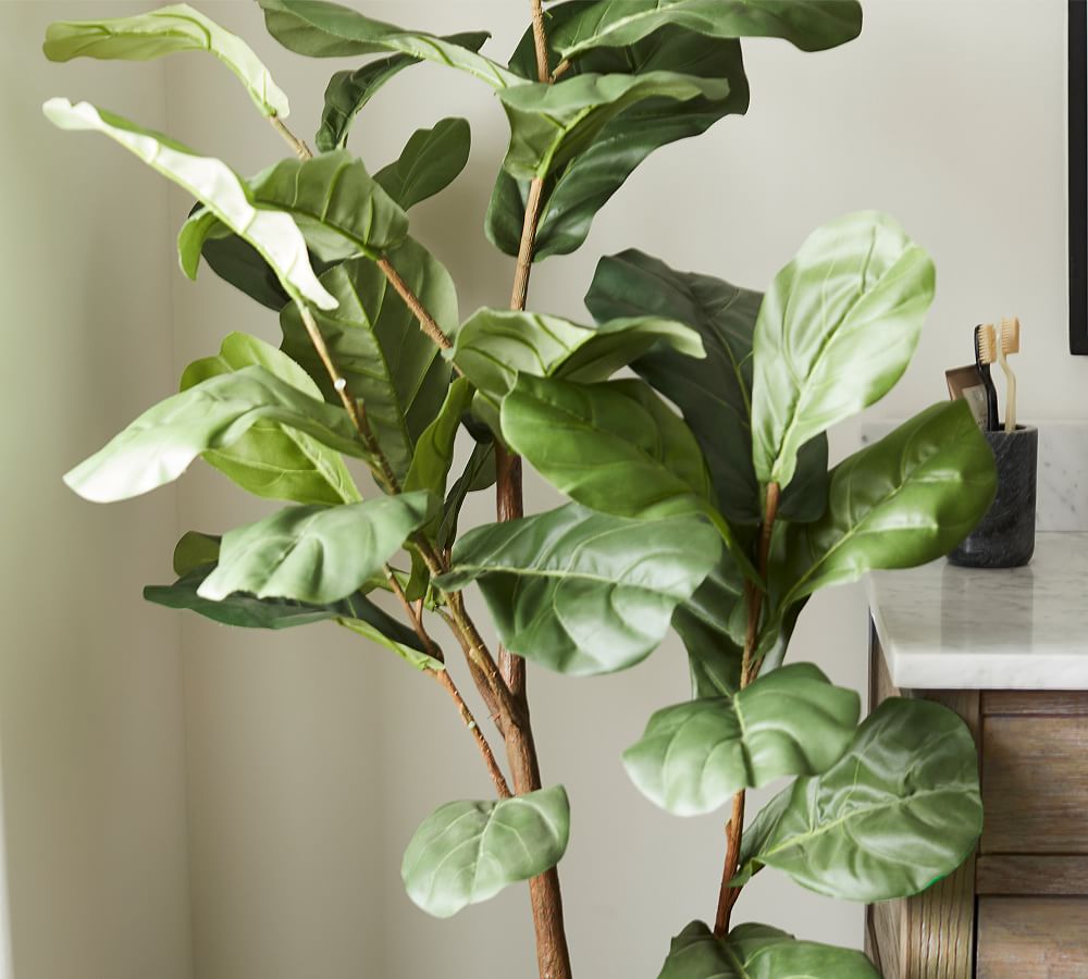 Faux Potted Fiddle Leaf Fig Trees Pottery Barn
