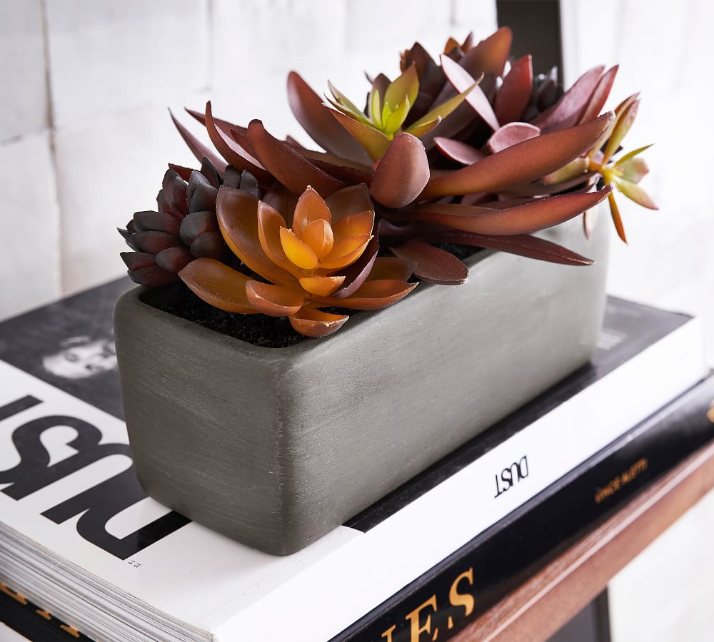 Faux Potted Succulent Arrangement Gray Pottery Barn