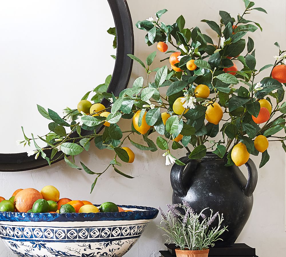 Faux Citrus Plant Collection Pottery Barn