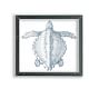 Sea Turtle Framed Acrylic Print | Coastal Wall Art | Pottery Barn