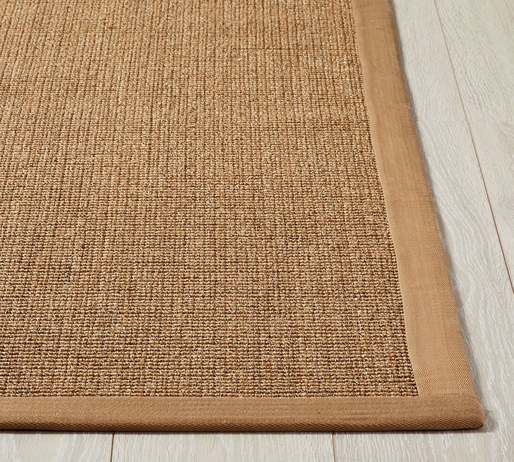 ColorBound Earth Sisal Rug Pottery Barn