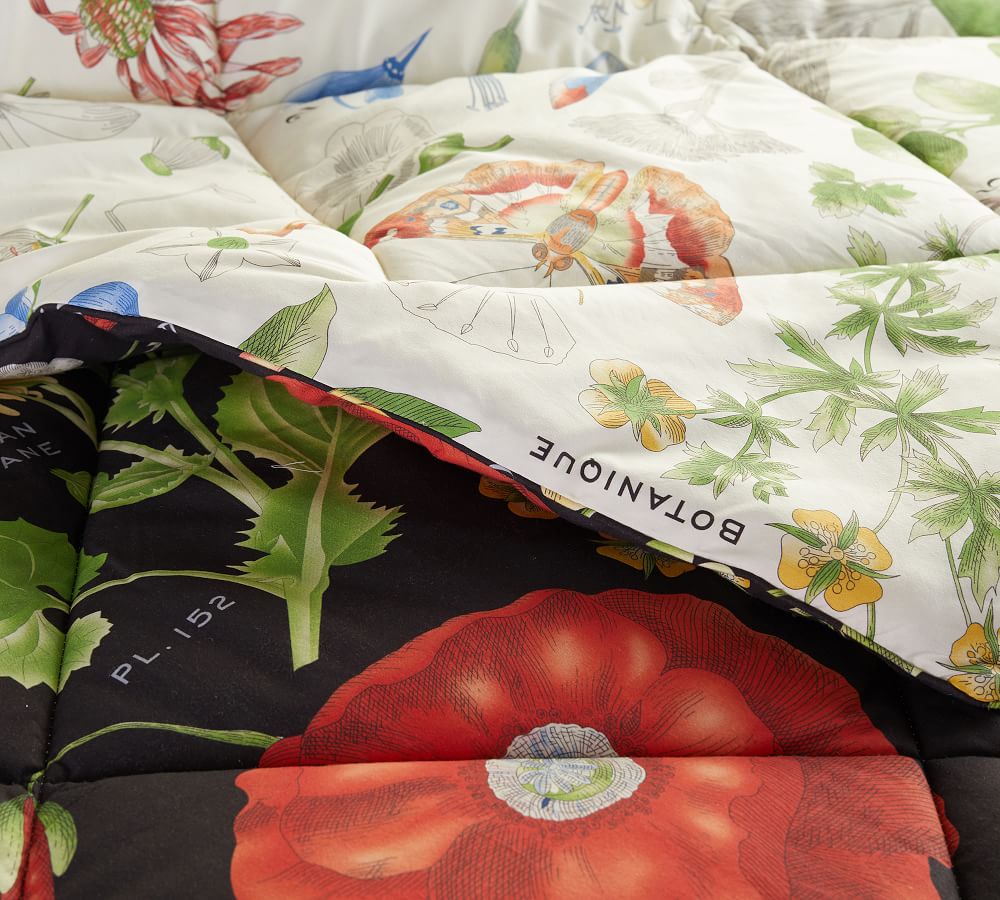 Poppy Cotton Comforter Pottery Barn