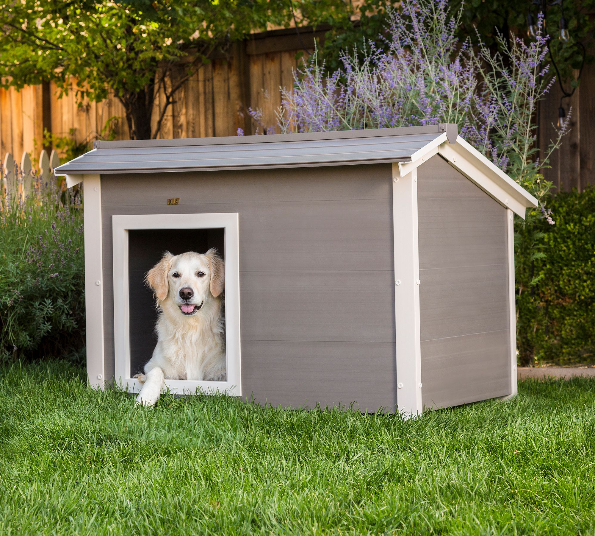 https://assets.pbimgs.com/pbimgs/ab/images/dp/wcm/202231/0330/insulated-lodge-dog-house-gray-3-xl.jpg