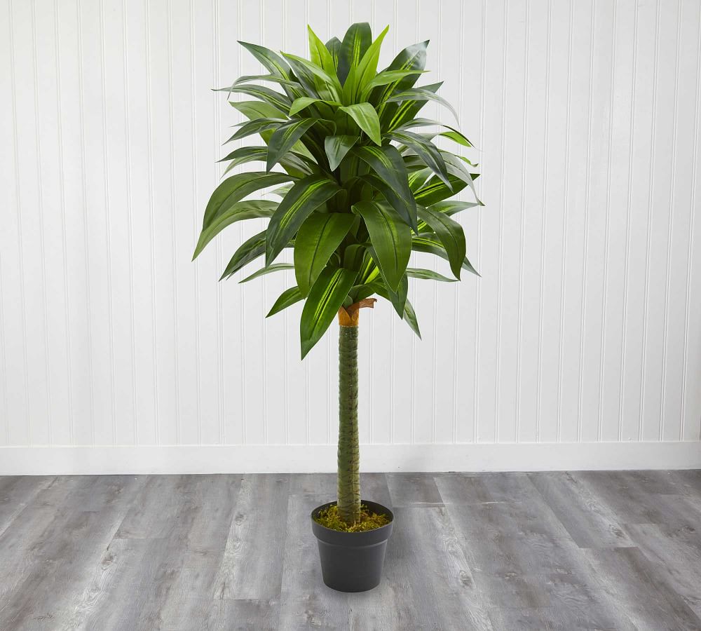 Dracaena Faux Plant | Pottery Barn