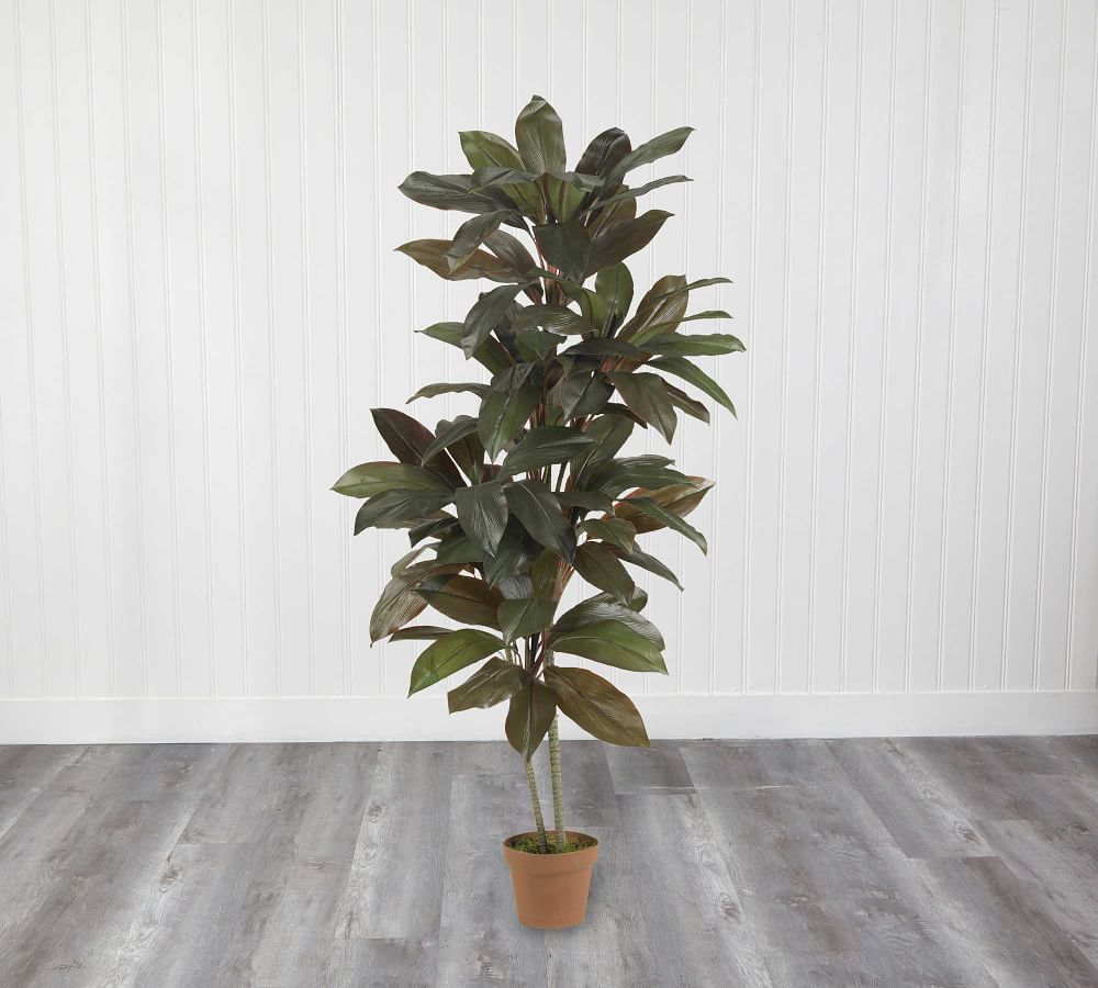 Faux Potted Cordyline Plant | Pottery Barn