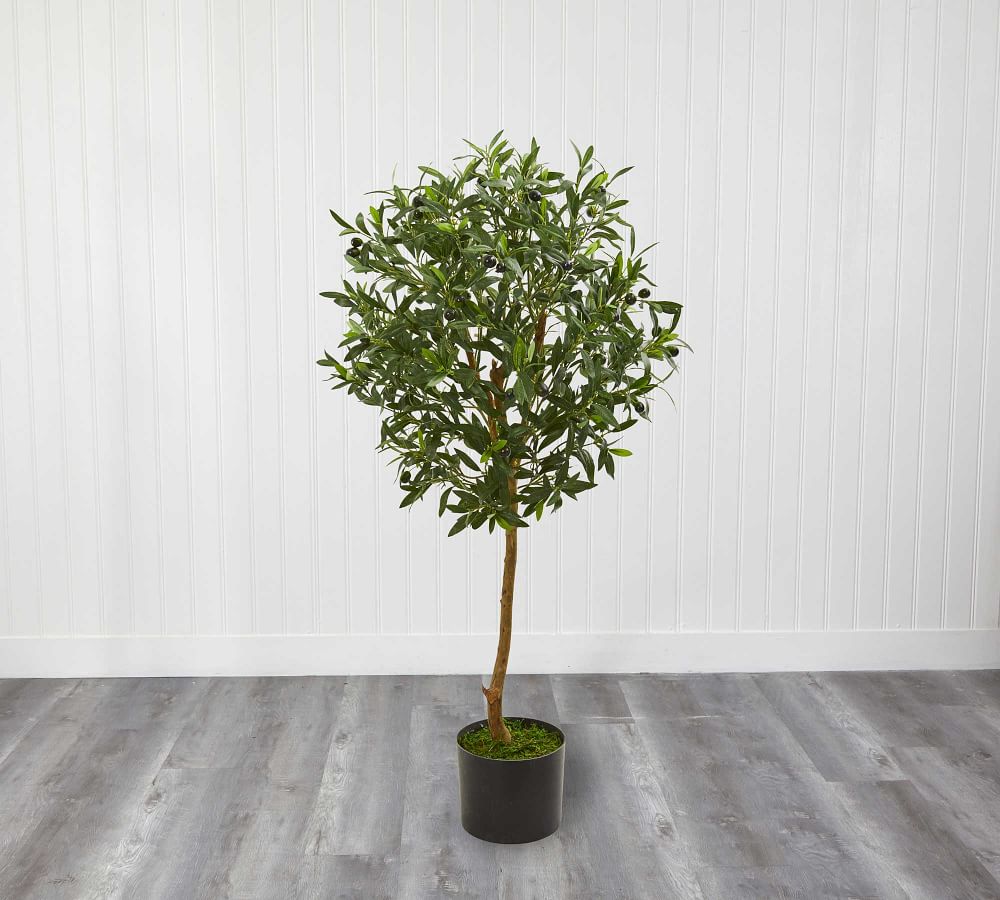 Faux Thin Trunk Olive Tree Pottery Barn