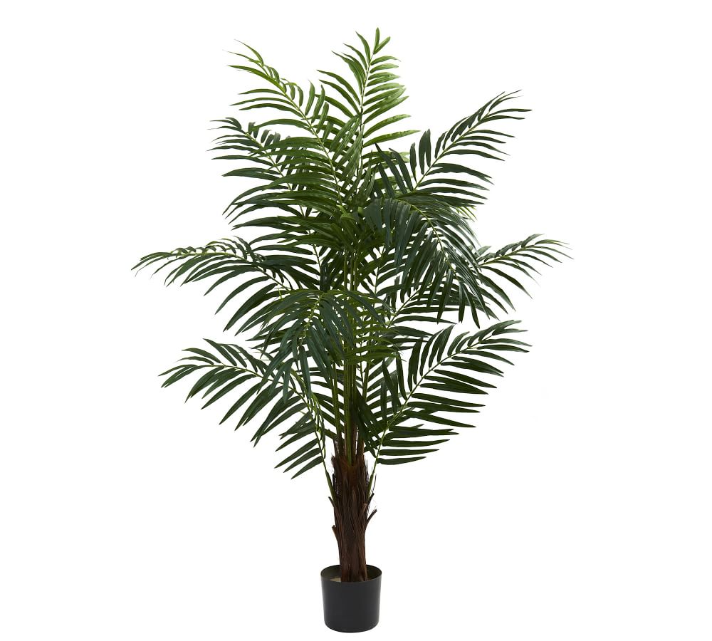 Faux Bulb Areca Palm Tree | Pottery Barn