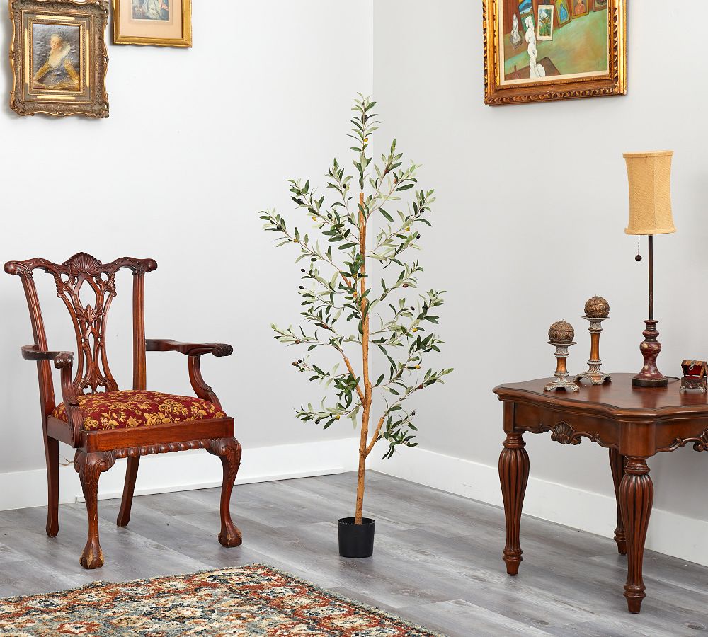 Faux Olive Tree Pottery Barn
