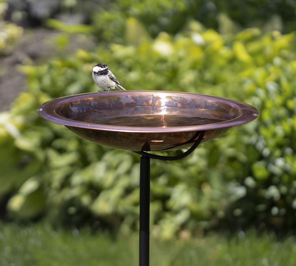 Copper Bird Bath on Garden Pole Pottery Barn