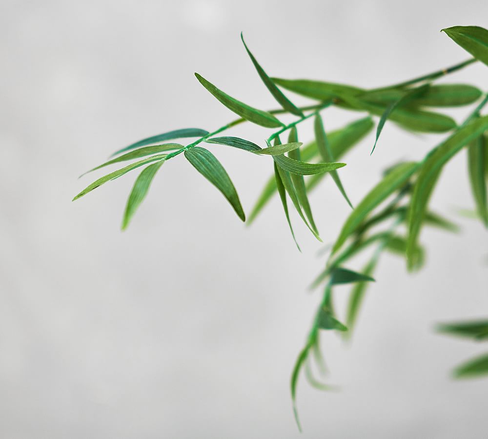 Bamboo Branch Artificial Flowers Pottery Barn