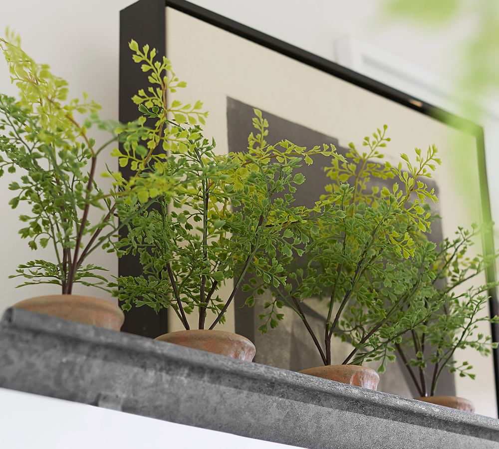 Faux Potted Mini Southern Maiden Hair Fern Houseplant Pottery Barn