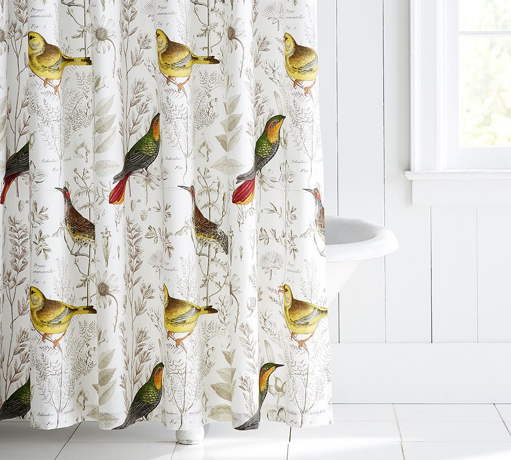 Meadowlark Organic Shower Curtain Pottery Barn
